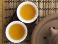 苦蕎茶與梔子花可以泡茶嗎？
