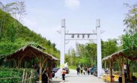 5月12日：徒步貢茶古道，天然氧吧，綠色之旅